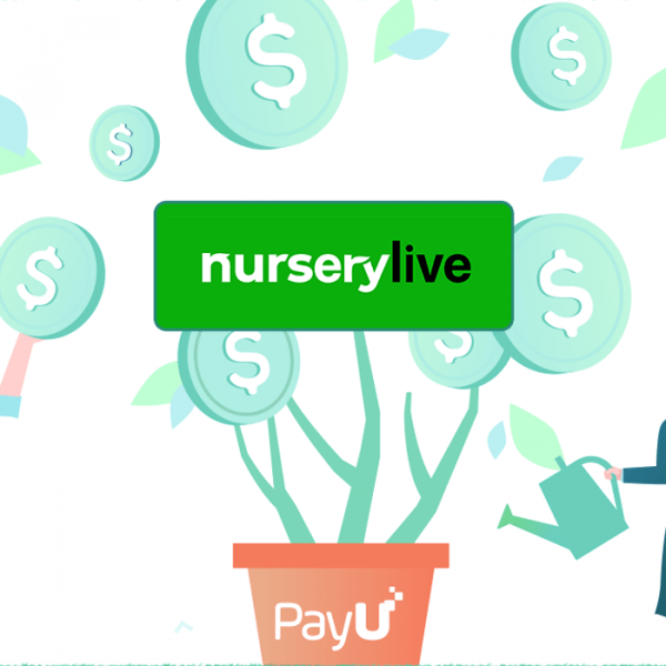 nursery live