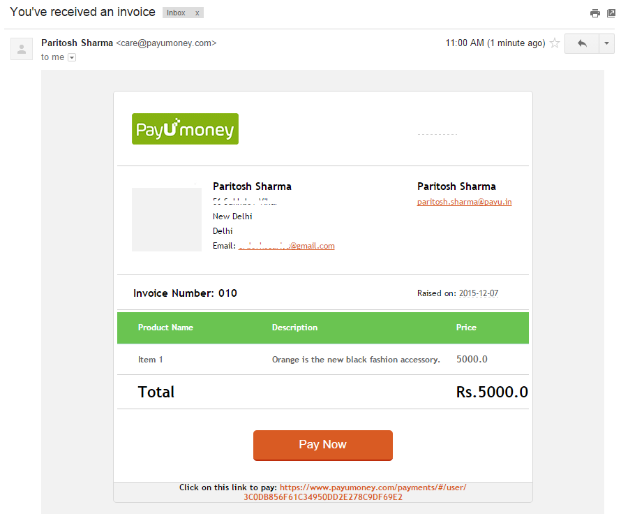 PayUmoney Email Invoice 5